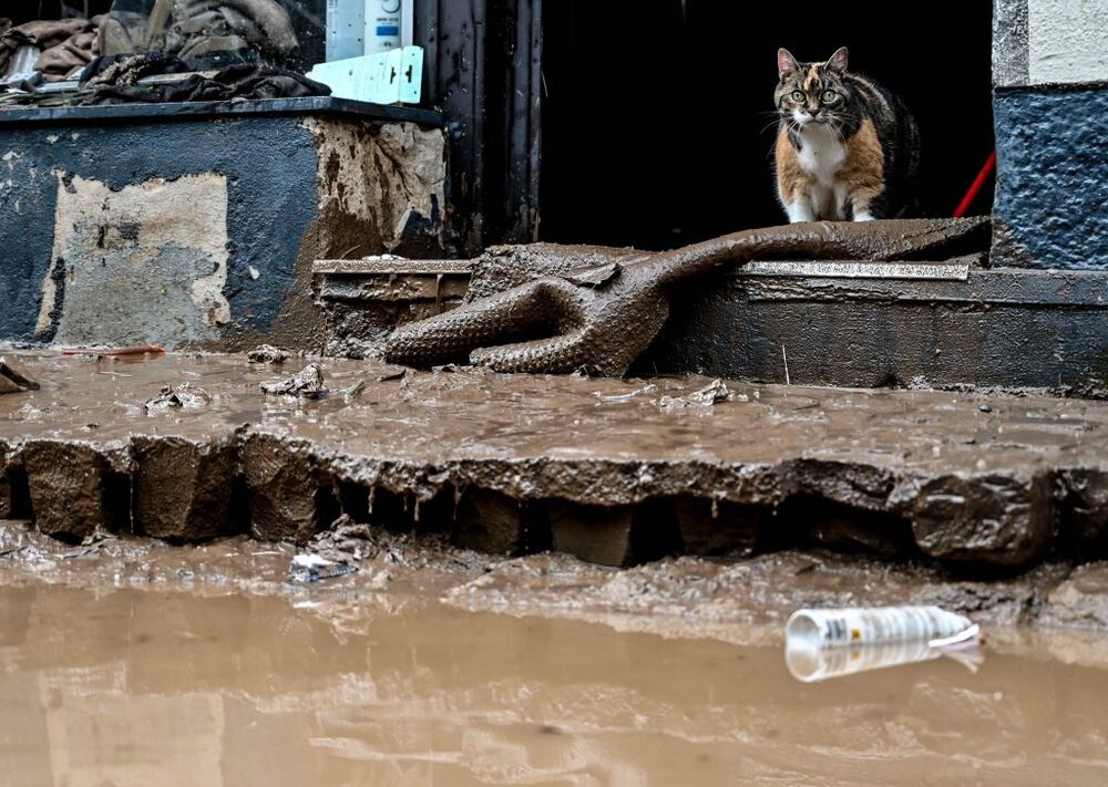 Thunderstorms with heavy rain hit North Rhine-Westphalia  / SASCHA STEINBACH