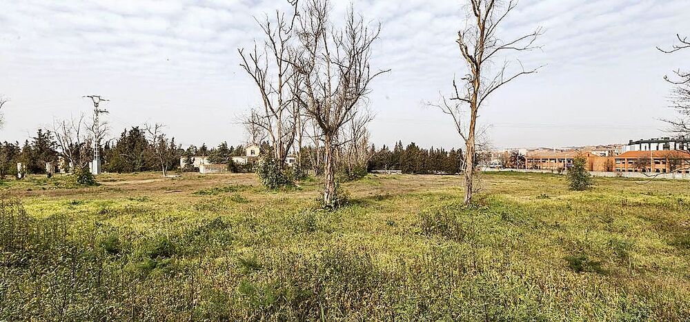 El plazo para pujar por los terrenos arranca hoy y termina el próximo 14 de marzo.