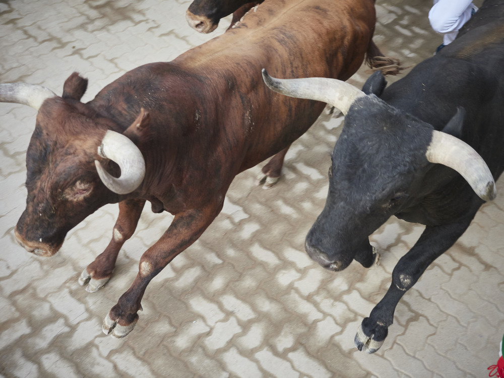 Último encierro de San Fermín 2022  / EDUARDO SANZ