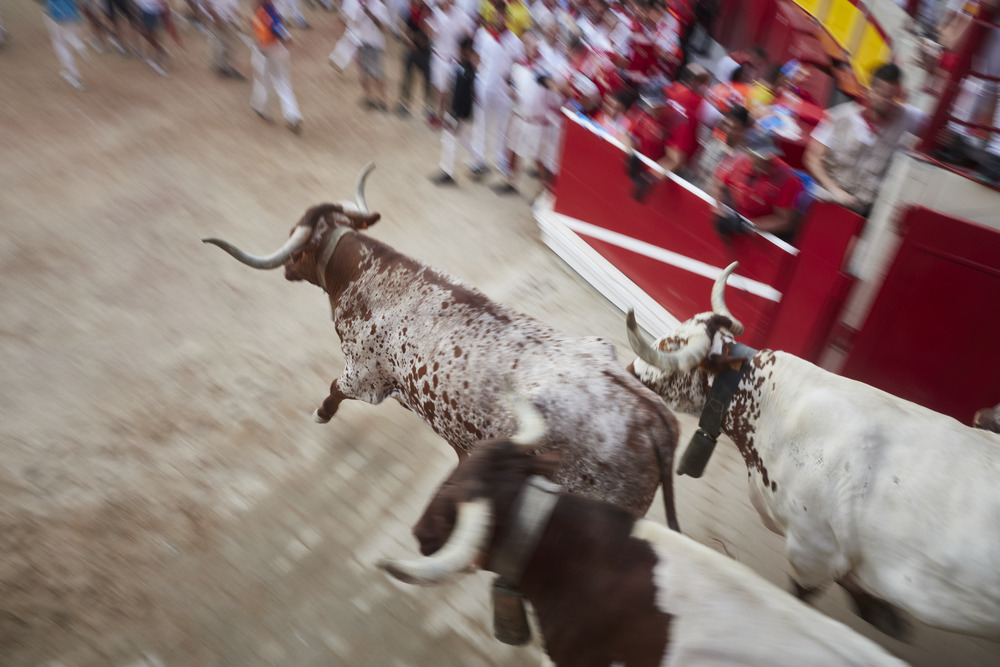 Último encierro de San Fermín 2022  / EDUARDO SANZ