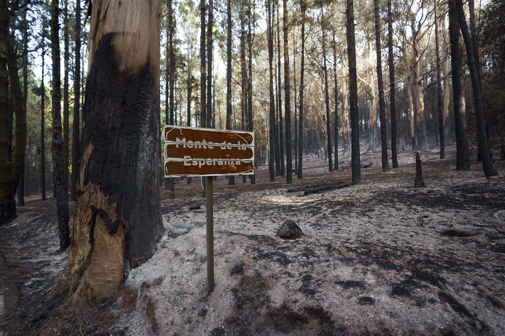 Incendio en Tenerife  / AGENCIAS