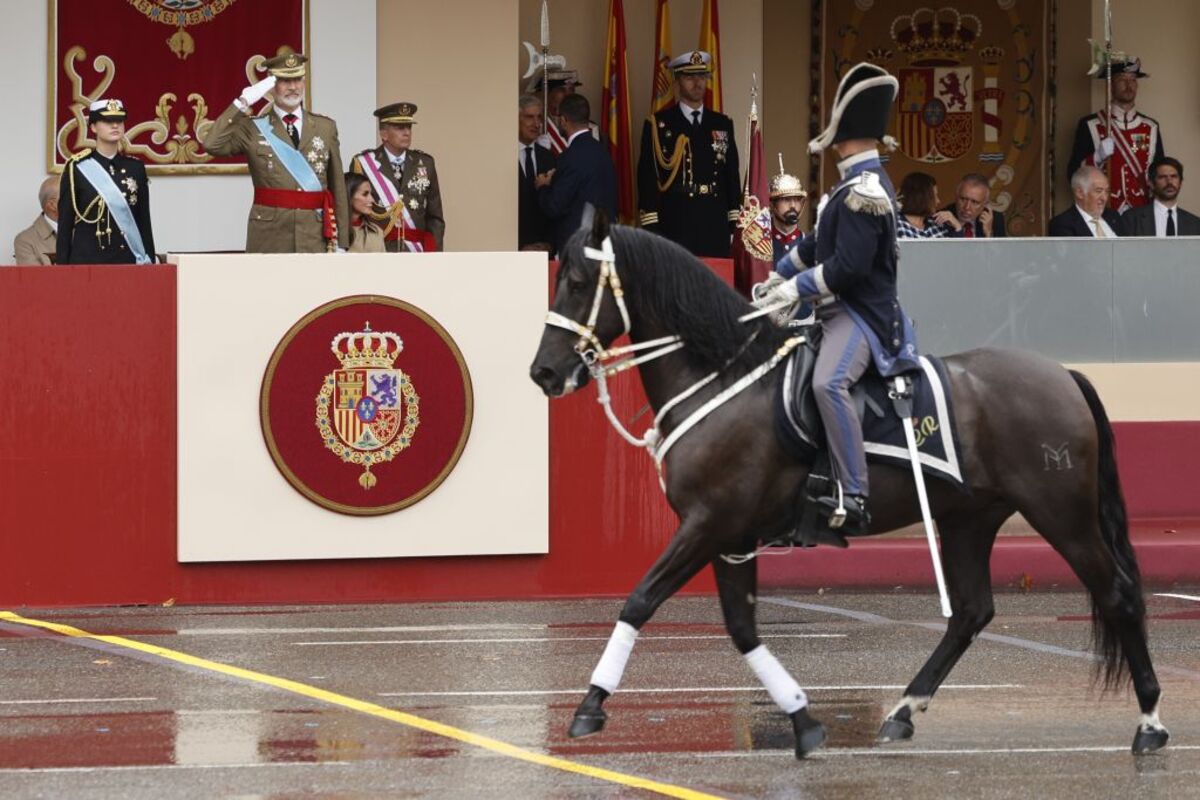 Madrid acoge el desfile de la Fiesta Nacional  / DANIEL GONZÁLEZ