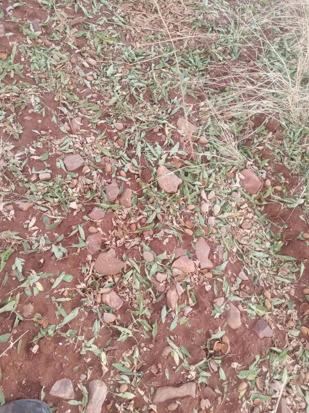 Lluvia y granizo arrasan los campos de La Mancha y los Montes