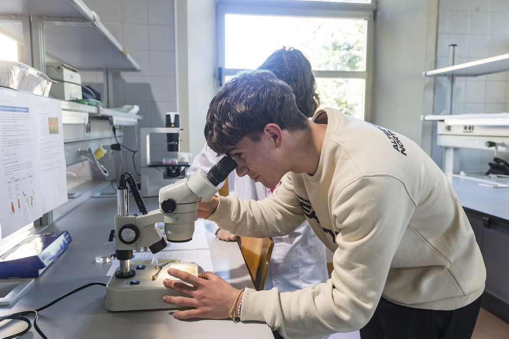 Alumna del IES ‘El Greco’ de Toledo realizando un experimento en los laboratorios de la Fábrica de Armas.