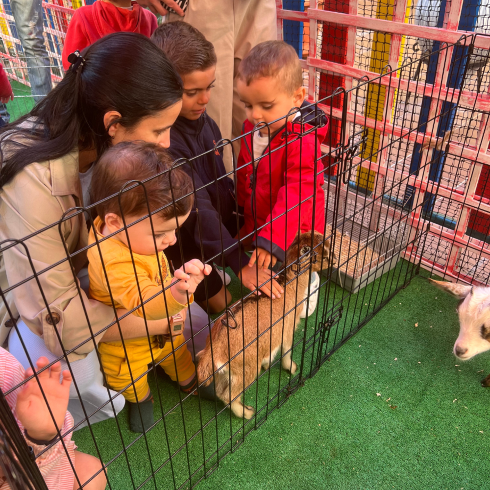 Los animales 'se cuelan' en las aulas de un colegio del Casco