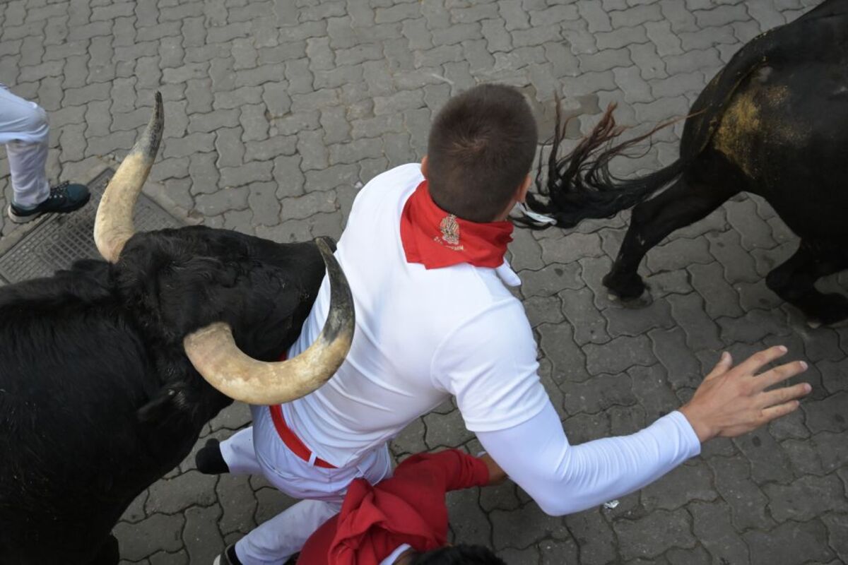 Los toros de Domingo Hernández en el quinto encierro de los Sanfermines  / AHINOA TEJERINA