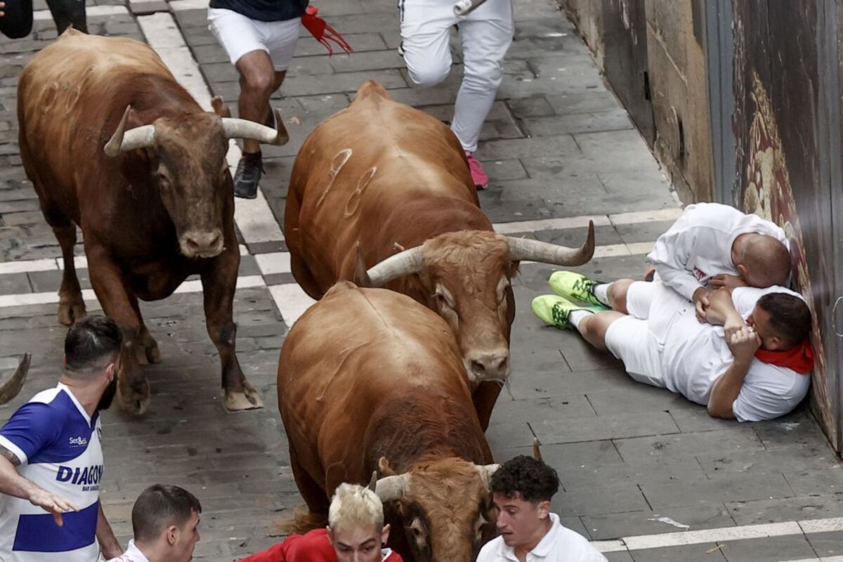 Los toros de Domingo Hernández en el quinto encierro de los Sanfermines  / JESÚS DIGES