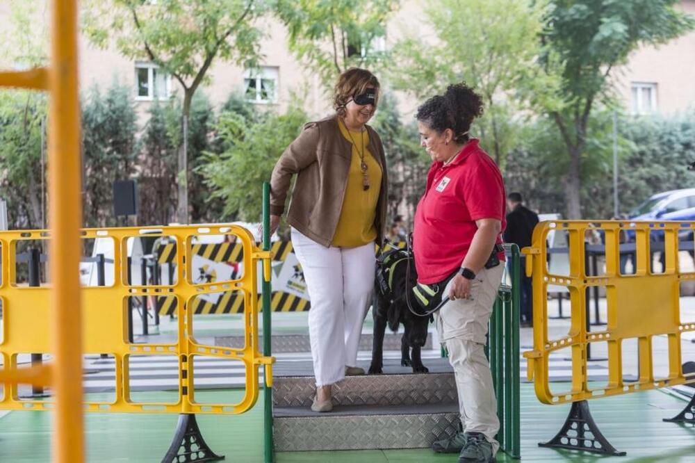 «Podemos ir a la luna, pero nos la jugamos cruzando la calle»