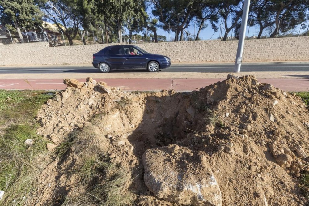 Comienza la plantación de almeces en la Avd. Adolfo Suárez