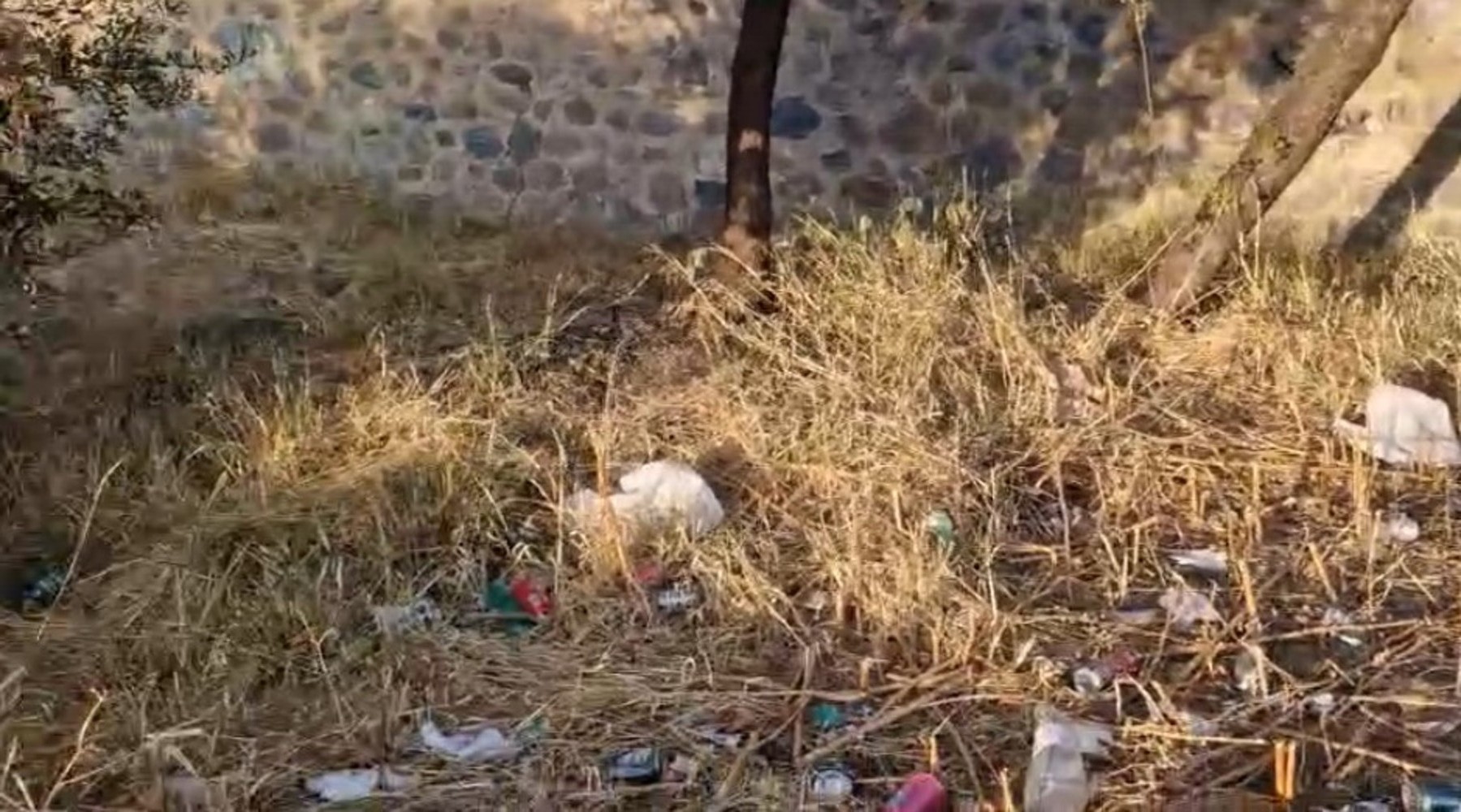 Vuelven a denunciar la basura a la puerta del cementerio