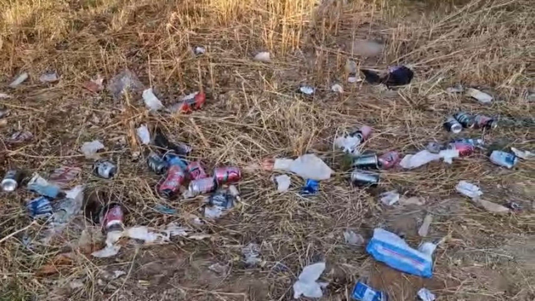 Vuelven a denunciar la basura a la puerta del cementerio