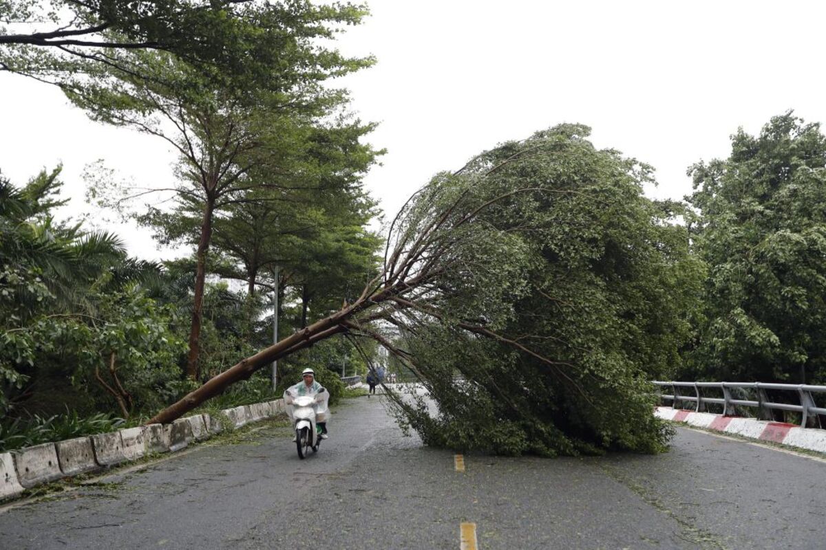 Four dead and dozens injured after typhoon Yagi makes landfall in Vietnam  / LUONG THAI LINH