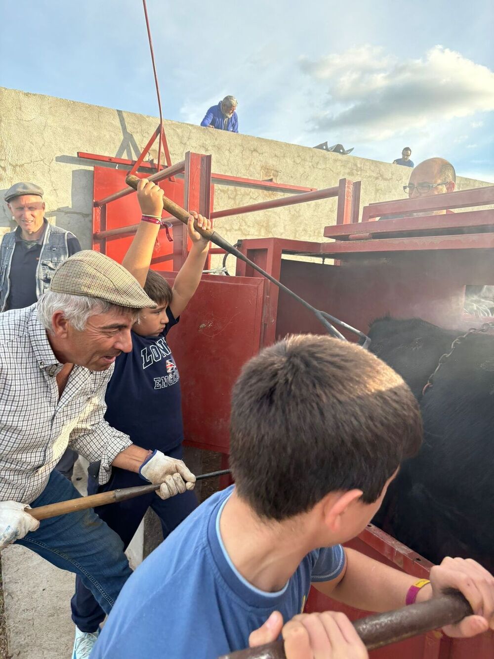 Las reses del hierro toledano fueron bautizados durante la jornada de ayer.