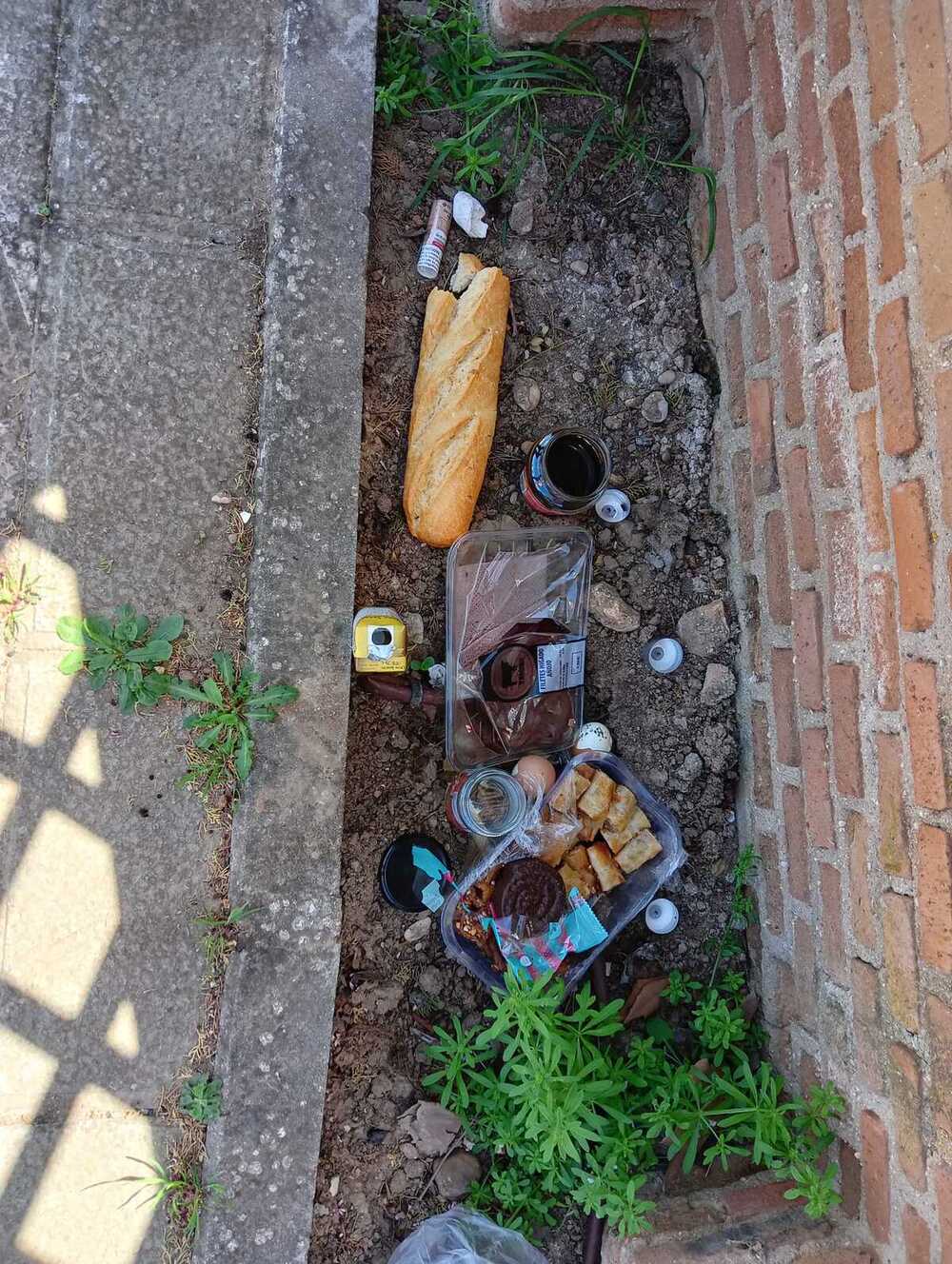 El cementerio de Toledo, escenario de santería y brujería