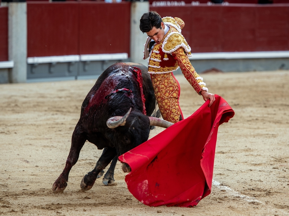 Álvaro Lorenzo mostró un toreo elegante.