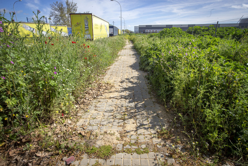 Estado actual de la calle Ventalomar, en los accesos a 'La Casera'.