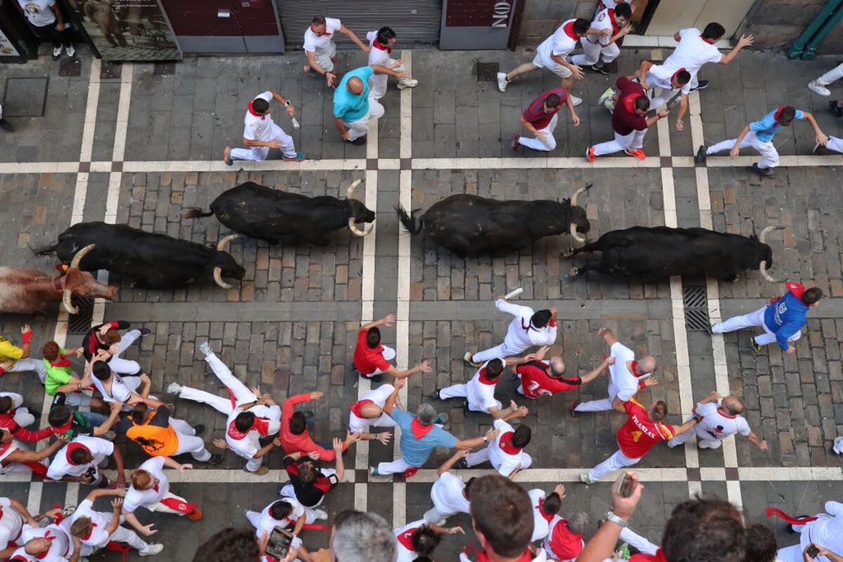 Los veloces y peligrosos Jandilla, este viernes en el sexto encierro de los Sanfermines  / J.P. URDIROZ