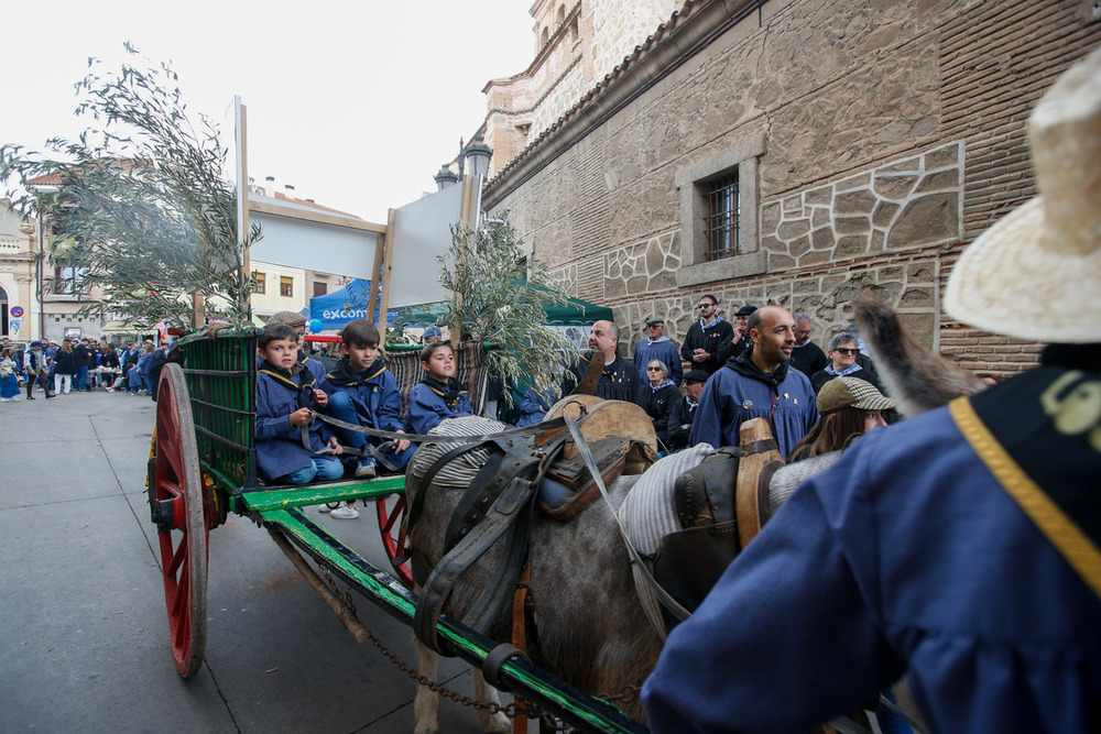 Pasión y genio bajo los acordes del ‘Olivarito’