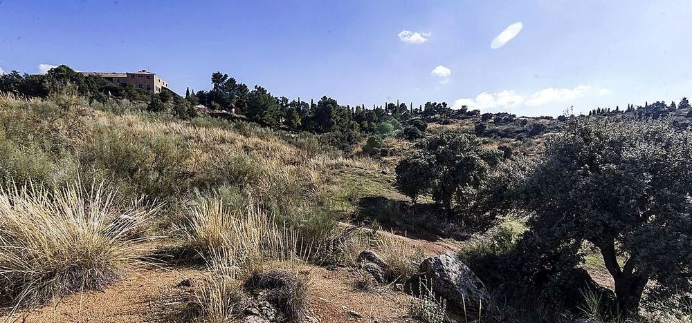 Velázquez habló de un ‘Epidauro’ y es que, como griegos y romanos, habría que aprovechar la ladera para el graderío.