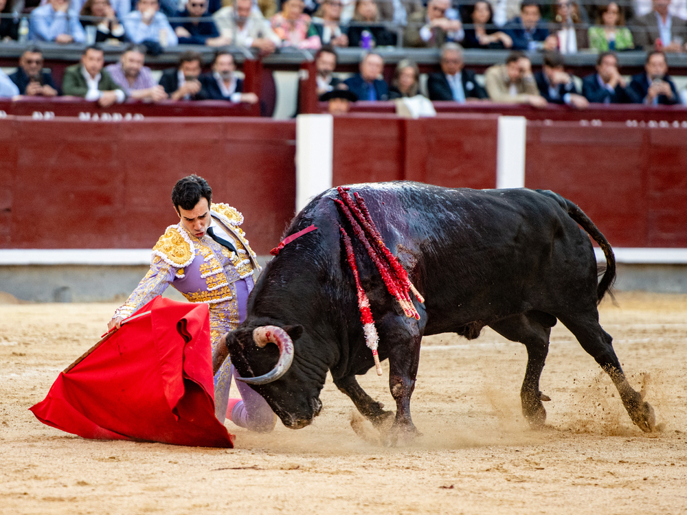 Rufo inició de rodillas su faena al sexto.