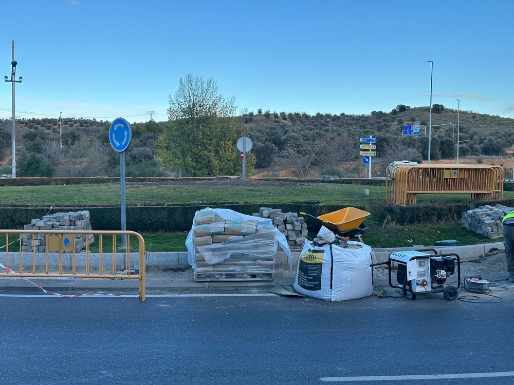 Talan una palmera y seis cipreses de Avd. Madrid por plagas