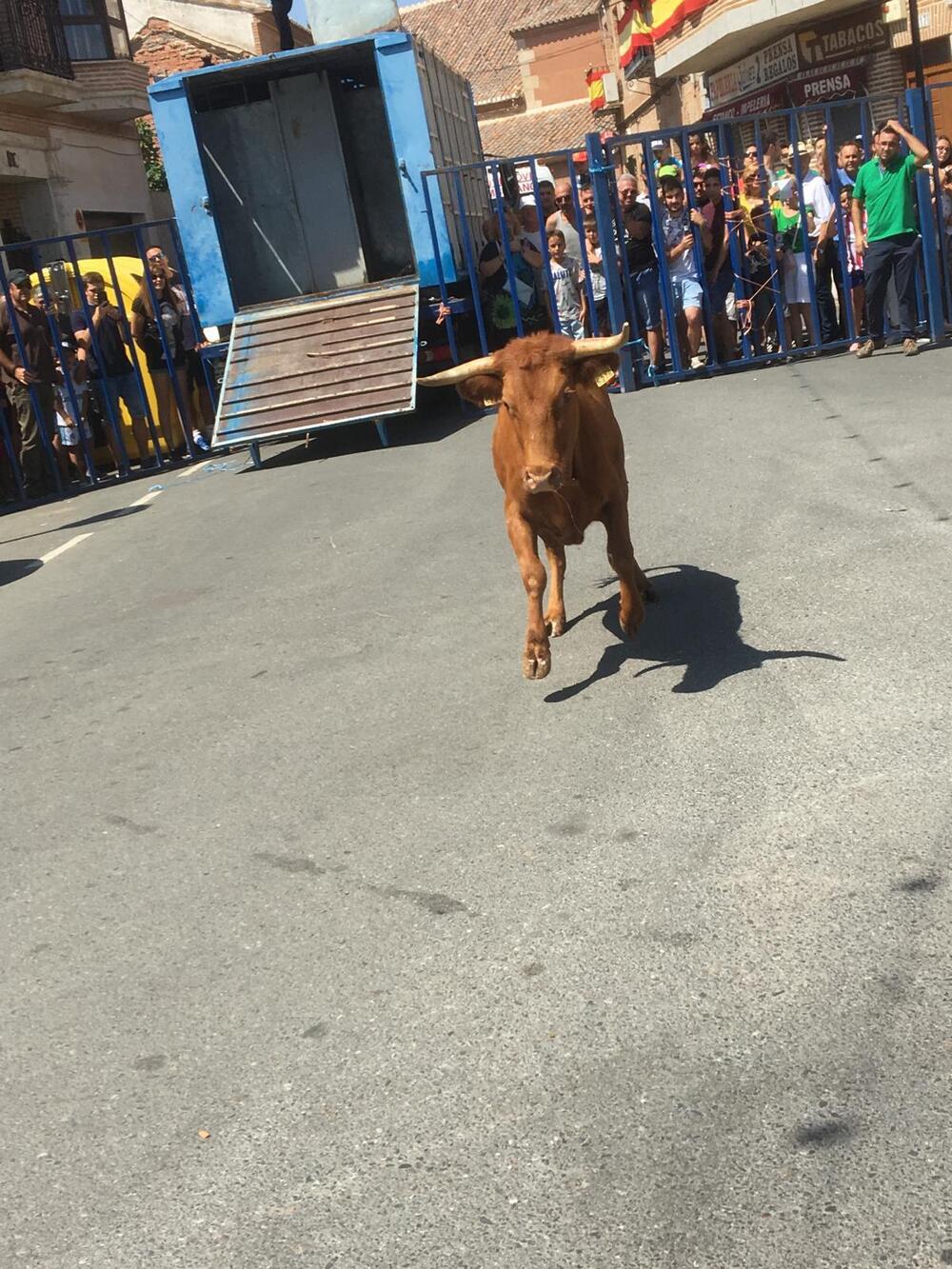 Ferias y Fiestas en honor a San Agustín.