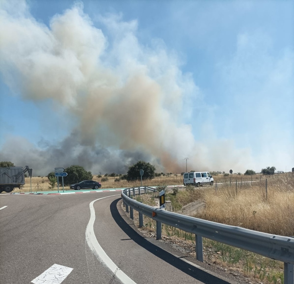 Más de 80 efectivos en la extinción de incendio en Torrehierro