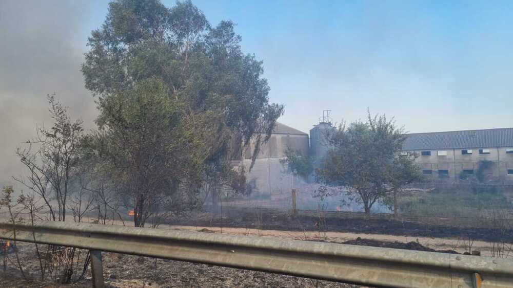 Más de 80 efectivos en la extinción de incendio en Torrehierro