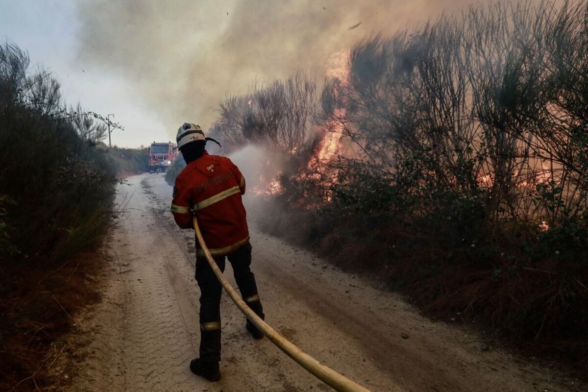 Forest fire in Portugal  / MIGUEL PEREIRA DA SILVA