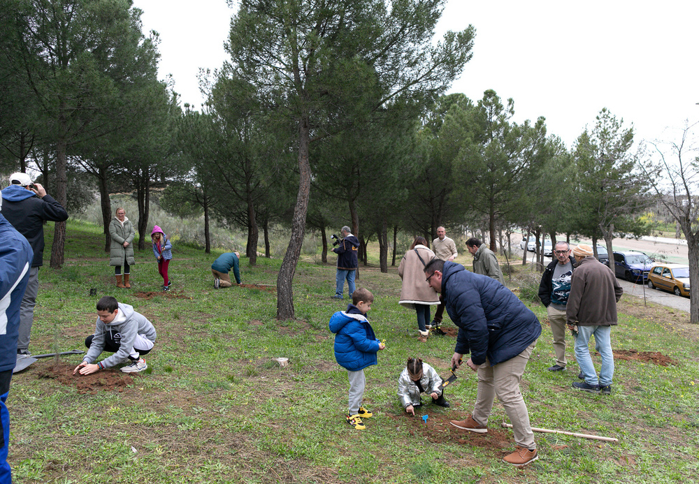 El 'Día del Árbol' promueve la sostenibilidad local