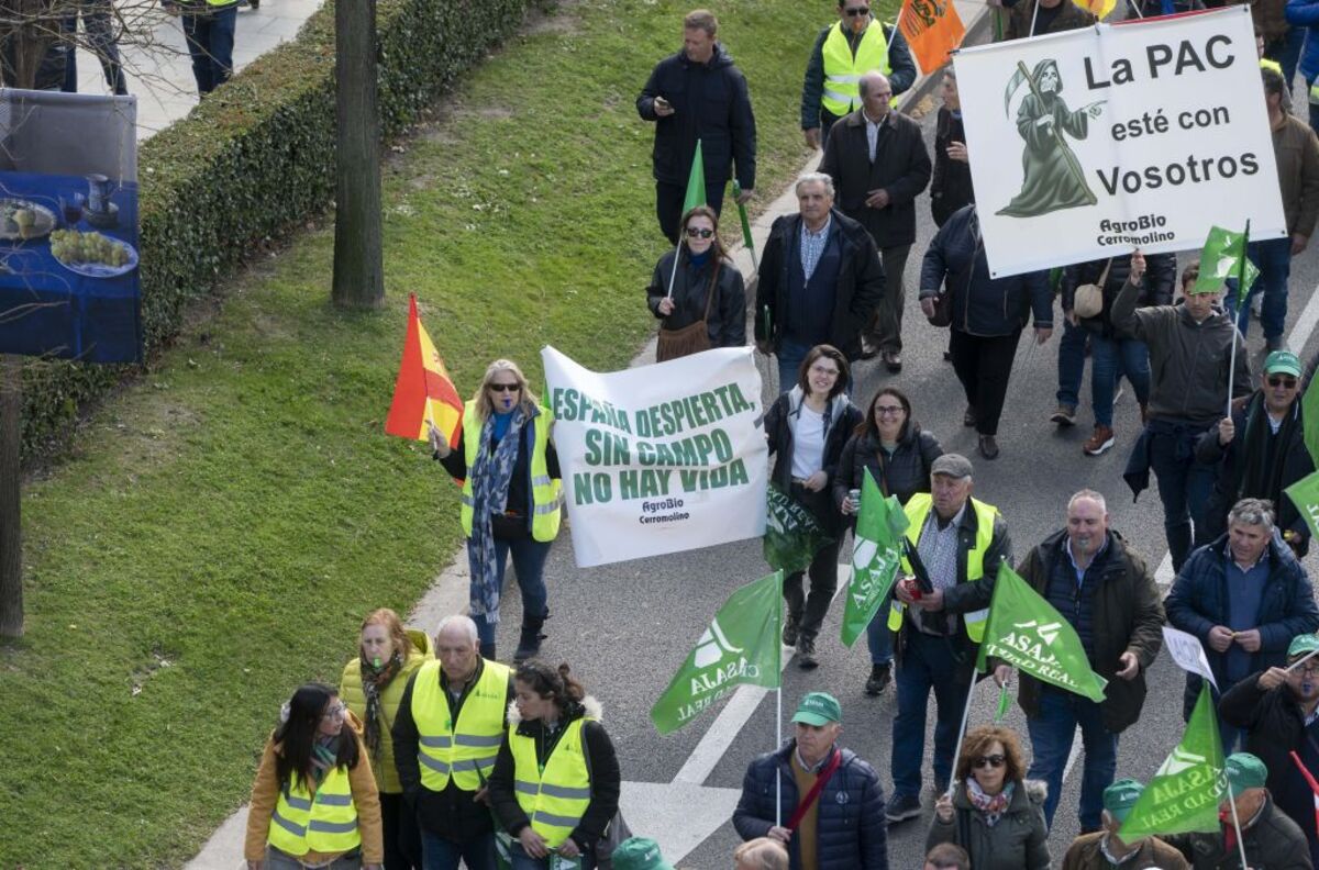 Los agricultores vuelven a Madrid para exigir mejoras en el campo   / ALBERTO ORTEGA