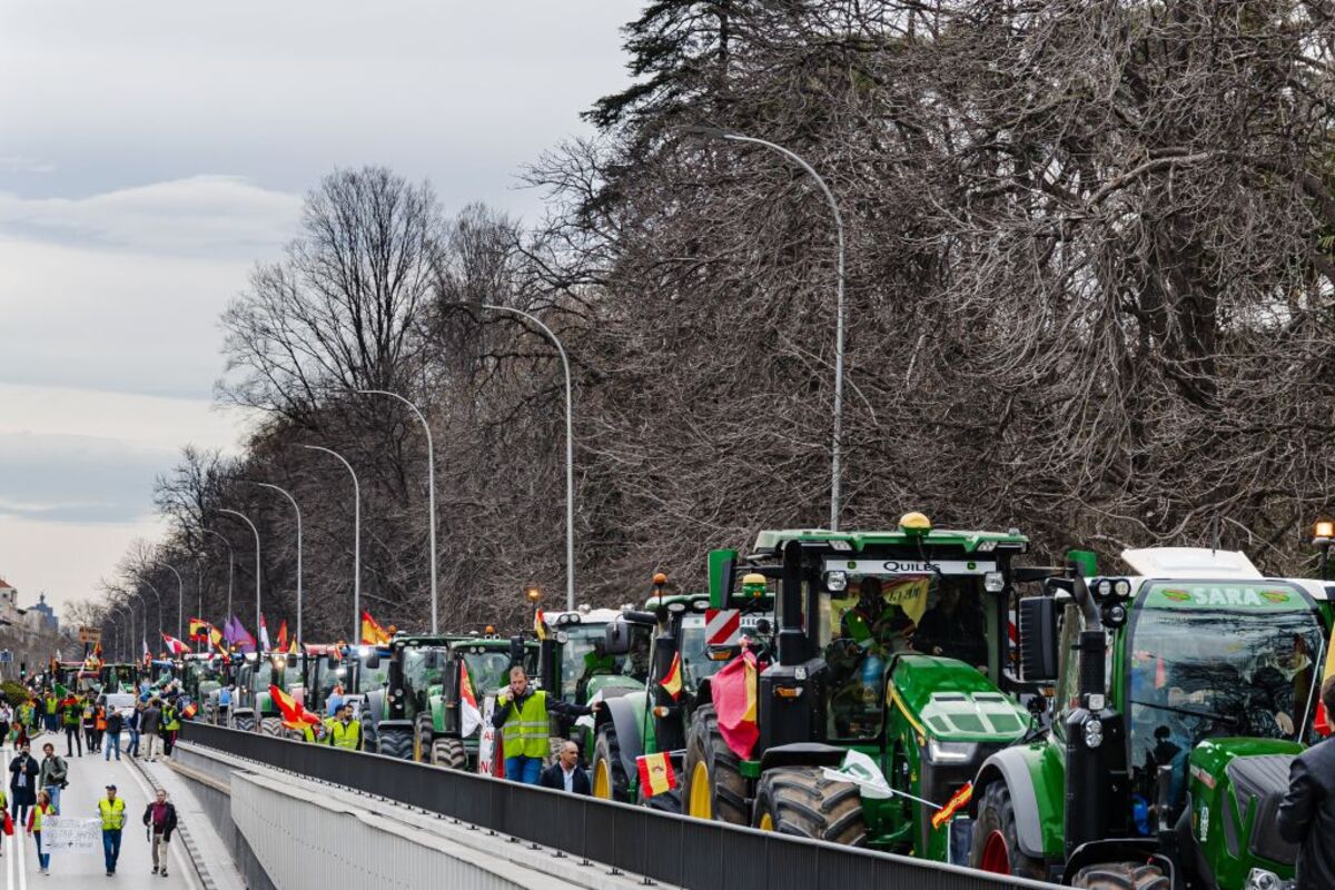 Décimosexta jornada de protestas de los tractores en las carreteras españolas para pedir mejoras en el sector  / CARLOS LUJÁN