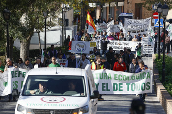 «Si siguen estas políticas, vamos a depender del extranjero»