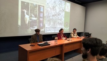 Rutas por «una ciudad en medio del campo»