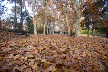 La Aemet pronostica un otoño más cálido y seco que la media