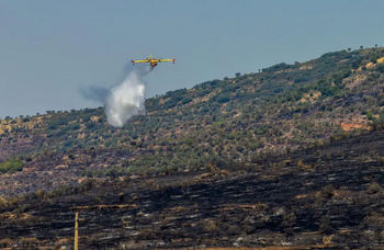 La Estrella: el incendio dañó 18.319 olivos y 10.504 almendros