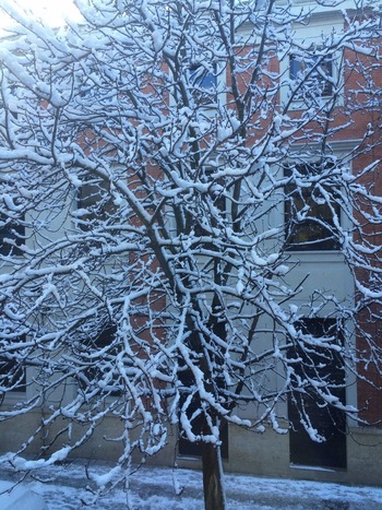 Cuenca activa el Plan de Vialidad Invernal por aviso de nieve