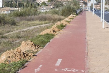 Comienza la plantación de almeces en la Avd. Adolfo Suárez