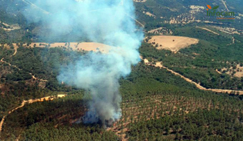 Declarado un incendio en Hontanar, en los Montes de Toledo