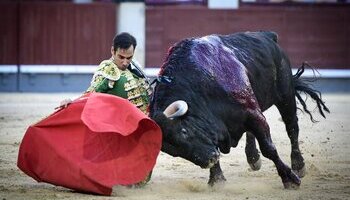 Vuelta al ruedo para Gómez del Pilar en el día de la Paloma