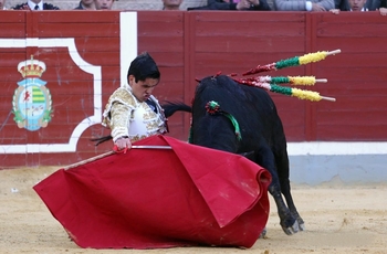 Méndez y Hurtado, y una gran novillada de La Olivilla