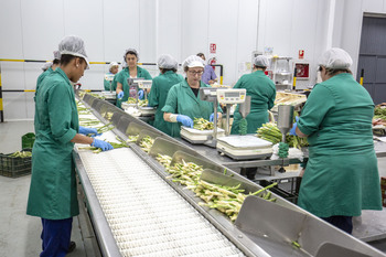 Las cooperativas representan el 26% de las industrias agro