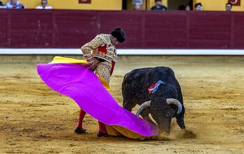 La Junta reafirma su voluntad de crear un premio taurino