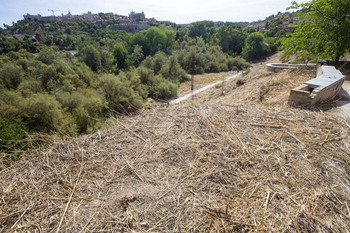 «No es definitiva la llegada de la Ciudad del Cine a Toledo»