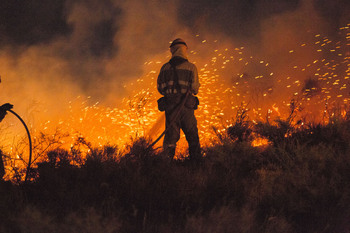 CLM destina 50 M€ a preservar bosques y masas forestales