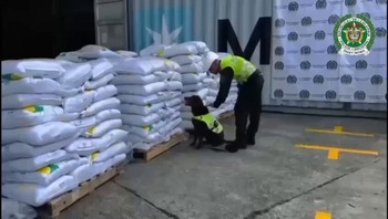 La mayor incautación de cocaína de Colombia iba a Toledo