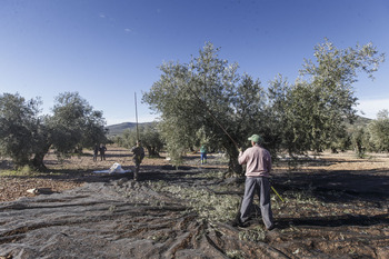 El «absurdo» de pedir retretes en el campo