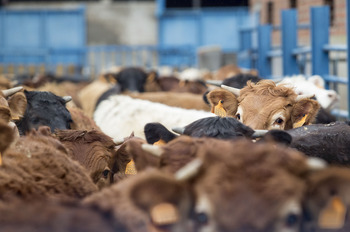 Los asesores de agricultores y ganaderos