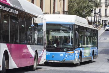 El Ayuntamiento prepara un recurso por la ayuda al transporte