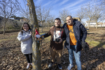 El bosque mágico creado por Javier en Quer